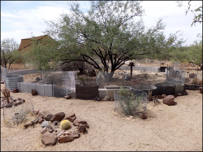 tortoise enclosure in desert